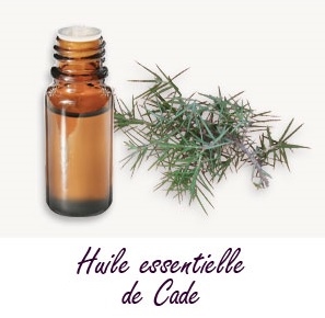 Huile essentielle de Cade (juniperus oxyucedrus) - ses bienfaits