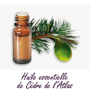 Aceite esencial de cedro (Atlas) 15 ml