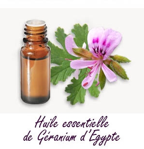 Huile essentielle Géranium 15 ml