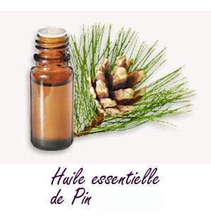 Aceite esencial de pino escocés 15 ml