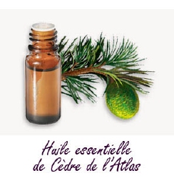 Huile Essentielle Cèdre (Atlas) 15 ml