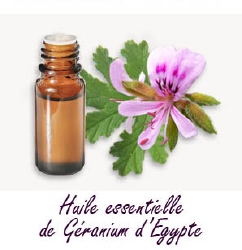 Huile essentielle de géranium 15 ml