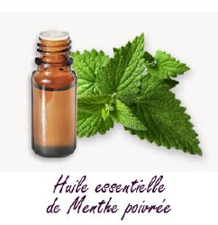 Huile Essentielle de Menthe Poivrée 15 ml