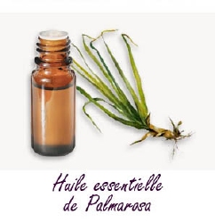 Huile essentielle de Palmarosa 15 ml